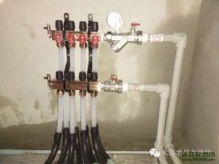 【老戰(zhàn)友連鎖企業(yè)】萬(wàn)棵樹4工程質(zhì)量巡檢